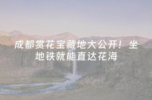 实测结果“微乐麻将专用挂”（详细透视教程）-哔哩哔哩