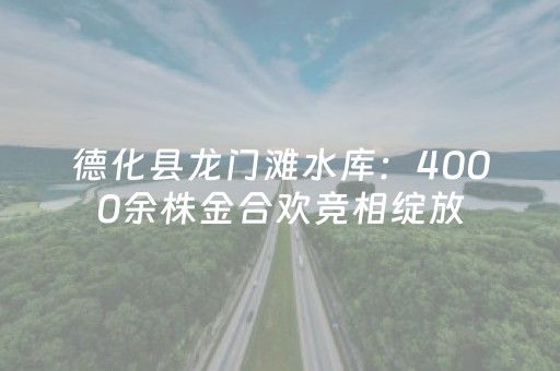 终于发现了“手机斗地主必赢神器（专用辅牌神器免安装）
