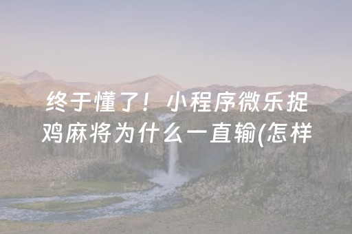 实测教程“中至麻将助赢神器”（详细透视教程）-哔哩哔哩