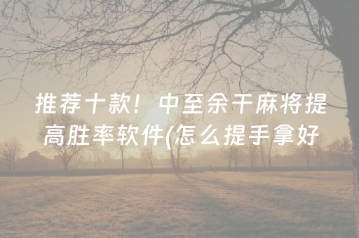 推荐十款！中至余干麻将提高胜率软件(怎么提手拿好牌)