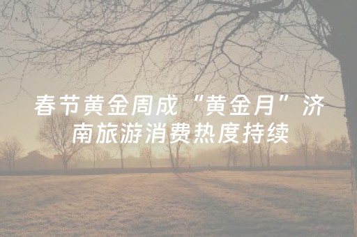 分享辅助“手机麻将专用器新款（专用辅牌神器免安装）