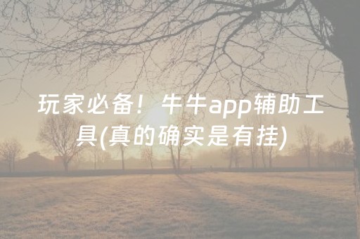 玩家必备！牛牛app辅助工具(真的确实是有挂)