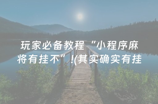 玩家实测“星悦云南麻将胡牌神器（助赢神器通用版）