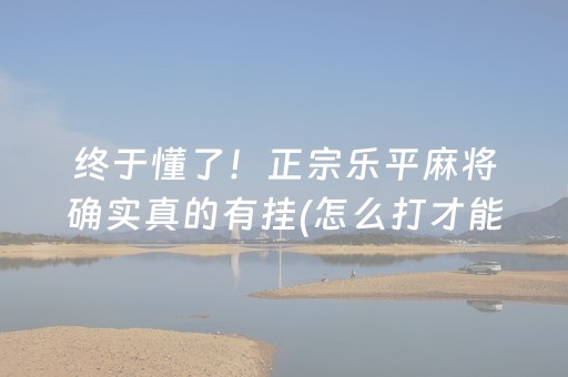 终于懂了！正宗乐平麻将确实真的有挂(怎么打才能赢)