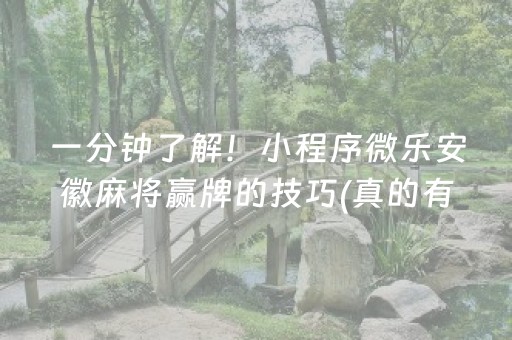 玩家必备教程“微信埋雷挂真的假的多少钱”（详细透视教程）-哔哩哔哩