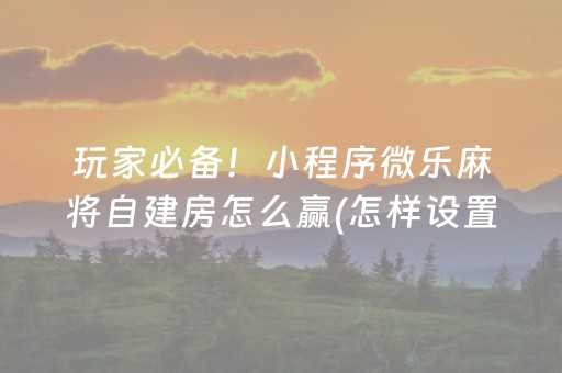我来教大家“中至手机麻将挂（助赢神器通用版）