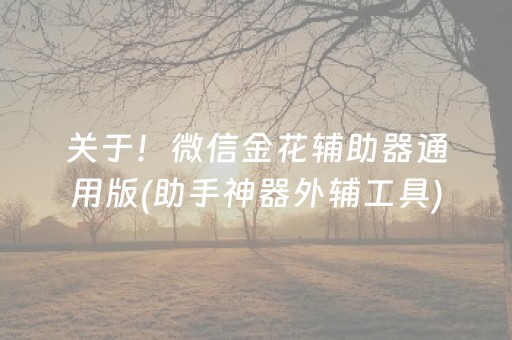 关于！微信金花辅助器通用版(助手神器外辅工具)