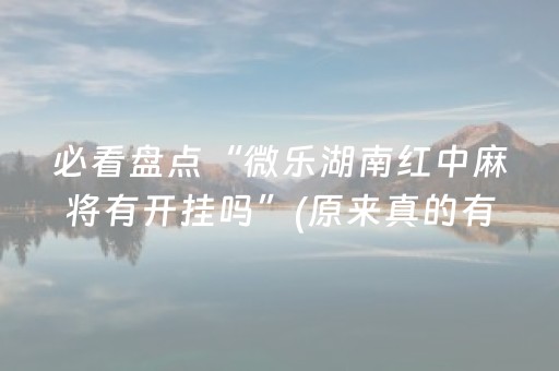 实测辅助“程序麻将机软件（助赢神器通用版）