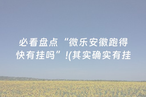 必看盘点“微乐安徽跑得快有挂吗”!(其实确实有挂)-抖音
