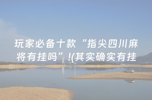 玩家必备十款“指尖四川麻将有挂吗”!(其实确实有挂)-抖音