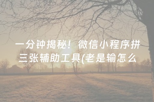 一分钟揭秘！微信小程序拼三张辅助工具(老是输怎么回事)