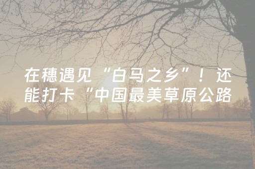 实测辅助“手机扑克有外挂吗（助赢神器通用版）