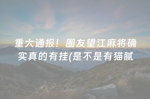 重大通报！圈友望江麻将确实真的有挂(是不是有猫腻)