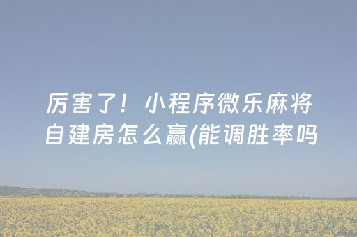 终于发现“程序麻将设备 黑科技（专用辅牌神器免安装）