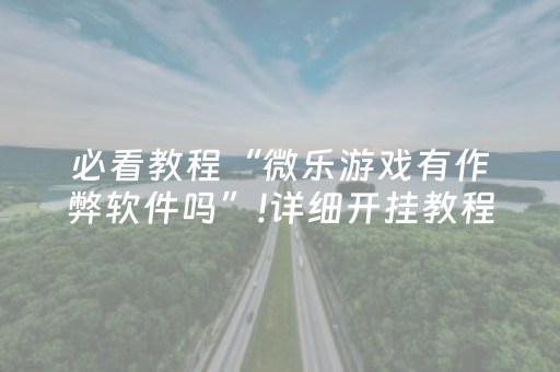 必看教程“微乐游戏有作弊软件吗”!详细开挂教程-抖音
