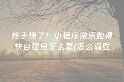 终于懂了！小程序微乐跑得快自建房怎么赢(怎么调胜率)