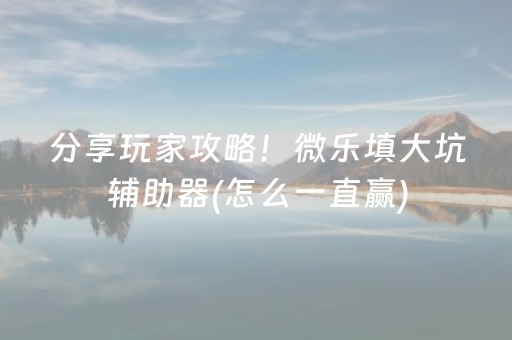 分享玩家攻略！微乐填大坑辅助器(怎么一直赢)