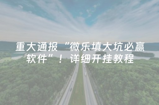 重大通报“微乐填大坑必赢软件”！详细开挂教程（确实真的有挂)-抖音