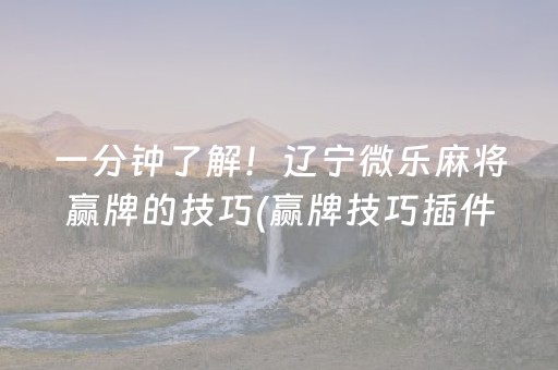 一分钟了解！辽宁微乐麻将赢牌的技巧(赢牌技巧插件安装)