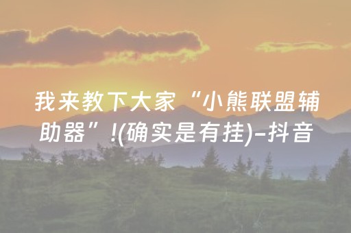 我来教下大家“小熊联盟辅助器”!(确实是有挂)-抖音