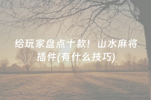 给玩家盘点十款！山水麻将插件(有什么技巧)
