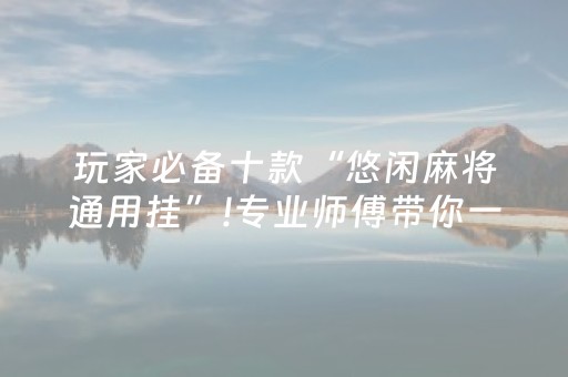 玩家必备十款“悠闲麻将通用挂”!专业师傅带你一起了解（详细教程）-抖音