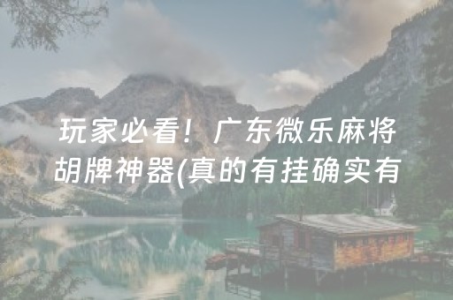 玩家必看！广东微乐麻将胡牌神器(真的有挂确实有挂)