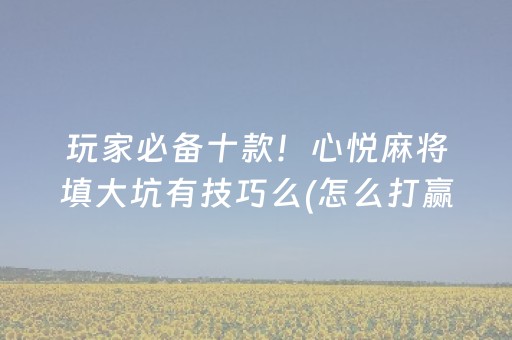 玩家必备十款！心悦麻将填大坑有技巧么(怎么打赢的几率大)