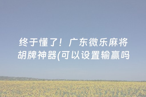 终于懂了！广东微乐麻将胡牌神器(可以设置输赢吗)