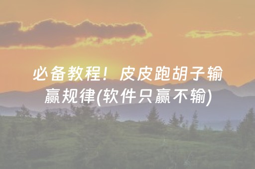 必备教程！皮皮跑胡子输赢规律(软件只赢不输)
