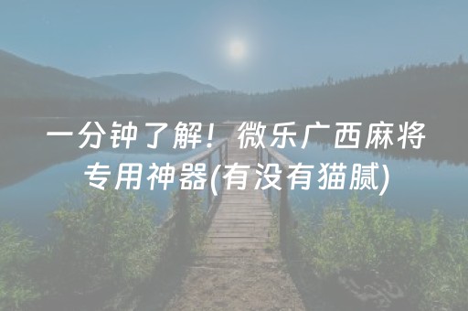 一分钟了解！微乐广西麻将专用神器(有没有猫腻)