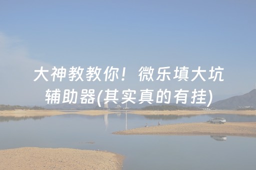 大神教教你！微乐填大坑辅助器(其实真的有挂)