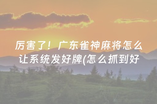 厉害了！广东雀神麻将怎么让系统发好牌(怎么抓到好牌)