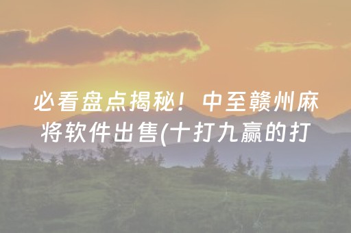 必看盘点揭秘！中至赣州麻将软件出售(十打九赢的打法)