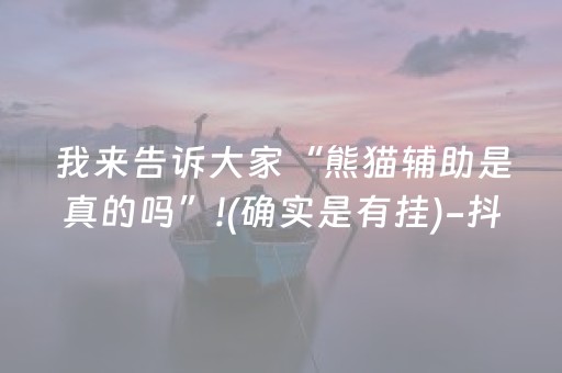 我来告诉大家“熊猫辅助是真的吗”!(确实是有挂)-抖音