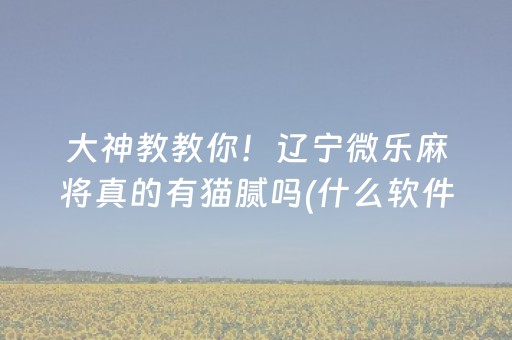 大神教教你！辽宁微乐麻将真的有猫腻吗(什么软件可以赢)