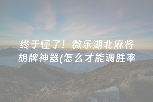 必看教程“普通麻将机万能解码器（专用辅牌神器免安装）