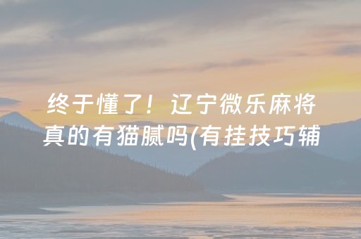 玩家必看攻略“中至麻将助赢神器（专用辅牌神器免安装）