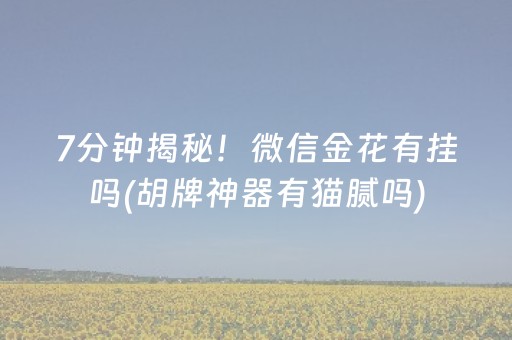 7分钟揭秘！微信金花有挂吗(胡牌神器有猫腻吗)