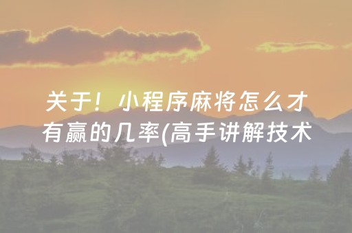 玩家实测“微乐小程序免费黑科技（专用辅牌神器免安装）
