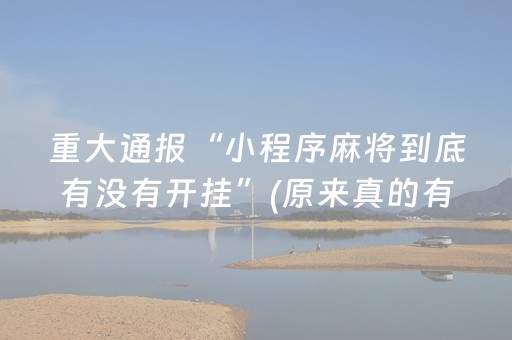 必看教程“微乐家乡麻将助赢神器直播（专用辅牌神器免安装）