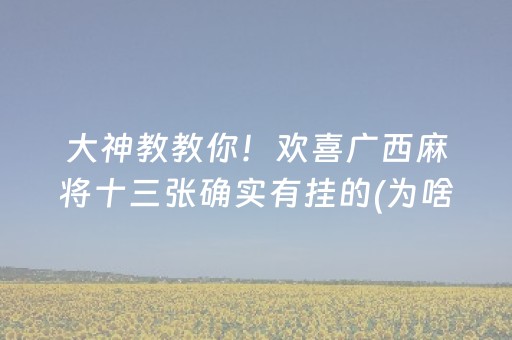 玩家必看攻略“多乐跑得快辅助工具（专用辅牌神器免安装）