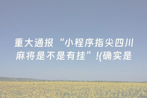 实测分享“微乐山东麻将助手神器（专用辅牌神器免安装）