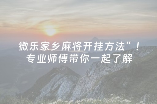 微乐家乡麻将开挂方法”!专业师傅带你一起了解（详细教程）-抖音