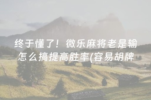 2分钟秒懂！“开心十三张辅助器”（详细开挂教程）-哔哩哔哩