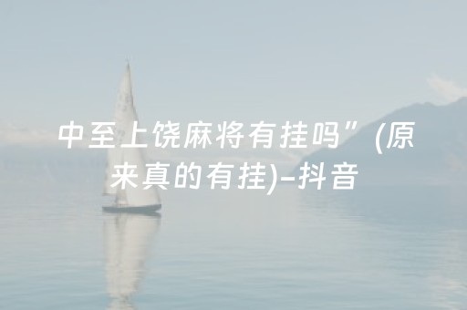 实测分享“广东雀神辅助插件哪里买”（详细透视教程）-哔哩哔哩