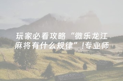 玩家实测“手机打麻将专用神器（专用辅牌神器免安装）