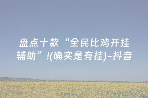盘点十款“全民比鸡开挂辅助”!(确实是有挂)-抖音