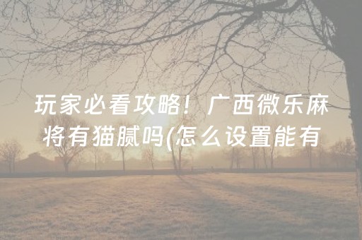 玩家必看攻略！广西微乐麻将有猫腻吗(怎么设置能有好牌)