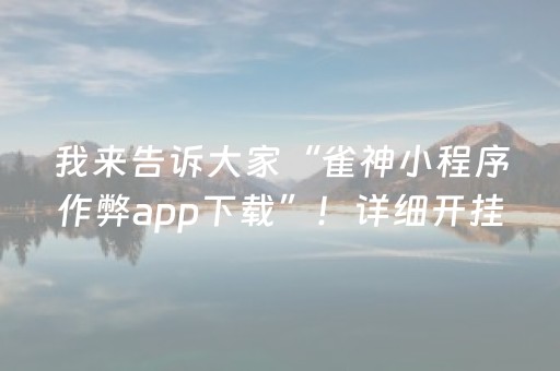 我来教大家“微友麻将软挂神器（助赢神器通用版）